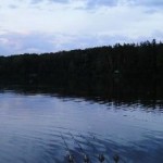 DSC05820