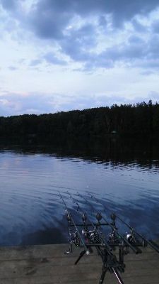DSC05820