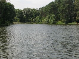 IMG_2916