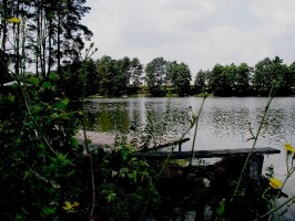 P1017241=01