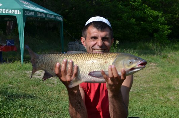 трофейное 05 08 2014 010