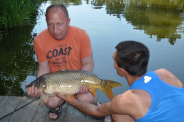 трофейное 05 08 2014 036