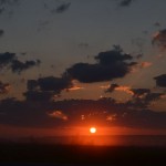 трофейное 05 08 2014 531