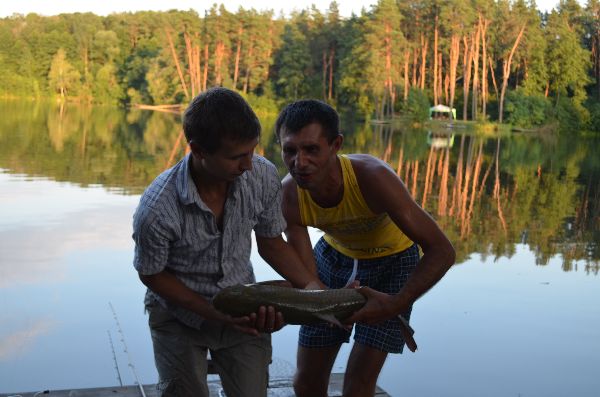 трофейное 05 08 2014 571
