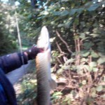 20140906094029