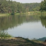 DSCN4508