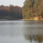 DSCN5342