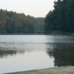 DSCN5878