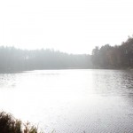 IMG_0061 IMG_0061