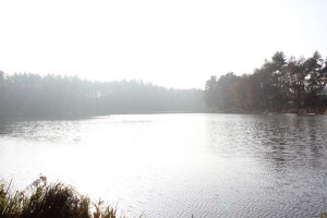 IMG_0061