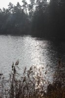 IMG_0078