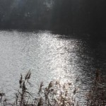 IMG_0078 IMG_0078