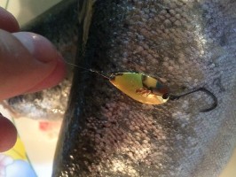 IMG_0652