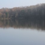 IMG_9964 IMG_9964