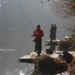 IMG_9966 IMG_9966