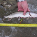 IMG_0168 IMG_0168