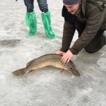 IMG_3152