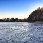 IMG_4527