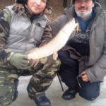 Изображение 311