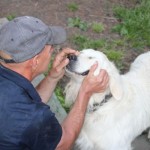 IMG_1326 IMG_1326