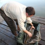 IMG_1335 IMG_1335