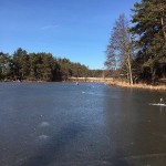 IMG_2151