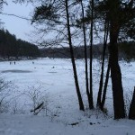 IMG_4893