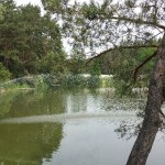 20150611_115716