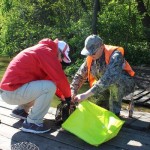 IMG_0868 IMG_0868