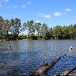 IMG_0898 IMG_0898