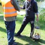 IMG_0915 IMG_0915