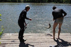 IMG_0922