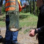 IMG_0930 IMG_0930