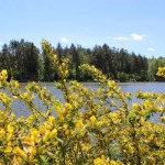 IMG_0940 IMG_0940