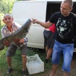 IMG_1147 IMG_1147