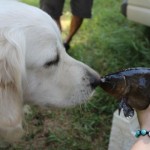 IMG_1156