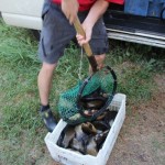 IMG_1158 IMG_1158