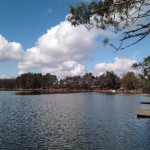 IMG_1343 IMG_1343
