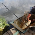IMG_1725 IMG_1725
