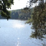 IMG_1834