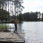 IMG_1908 IMG_1908