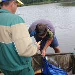 IMG_2004 IMG_2004