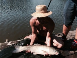 IMG_3084