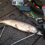 IMG_2820