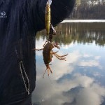 20160227_150815
