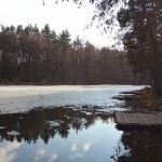 20160227_151605