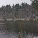 20161113_140134 20161113_140134