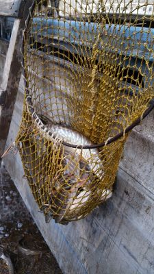 20160305_164513_001