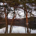 20160305_172618