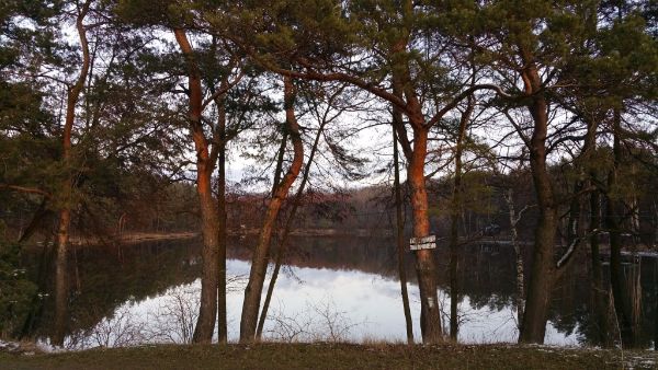 20160305_172618